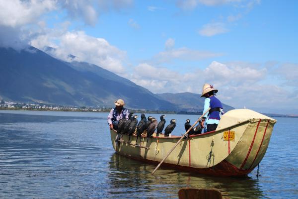 fatorypress best theme